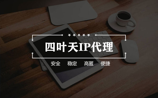 【吐鲁番代理IP】如何快速搭建代理IP？怎么检查代理的效果？